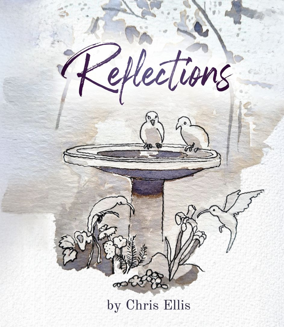 Reflections. Poems and Clinical Portraits from Medical Practice